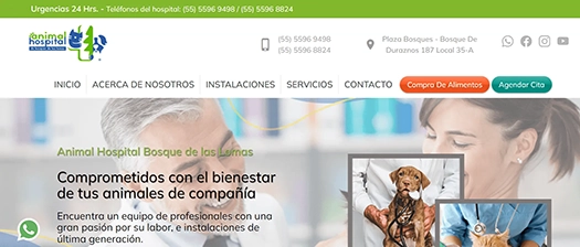 Vista de escritorio del sitio Animal Hospital