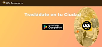 Vista de escritorio del sitio UDI